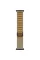 Apple Watch Ultra 2 49mm Black Titanium Case with Tan Alpine Loop (Large) 2024